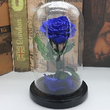 Розы в колбе - Роза в колбе 30 см. King Size - Синяя