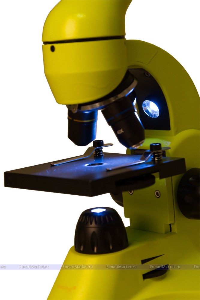 Микроскопы Levenhuk - Микроскоп Levenhuk Rainbow 50L Lime/Лайм