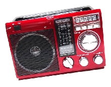 Товары для одностраничников - Радиоприёмник FM 808REC