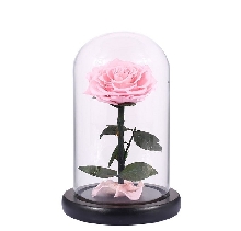 Розы в колбе - Роза в колбе 20 см. Mini - Розовая
