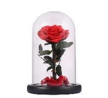 Розы в колбе - Роза в колбе 20 см. Mini - Красная