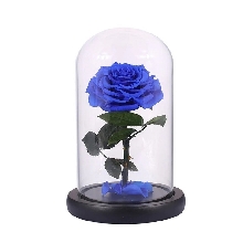 Розы в колбе - Роза в колбе 20 см. Mini - Синяя