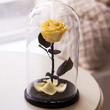 Розы в колбе - Роза в колбе 27 см. Premium - Жёлтая