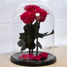 Розы в колбе - Розы в колбе 32 см. King Size ТРИО - Красные