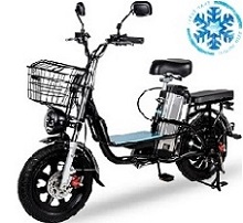 Электровелосипеды - Электровелосипед GT MONSTER Снег