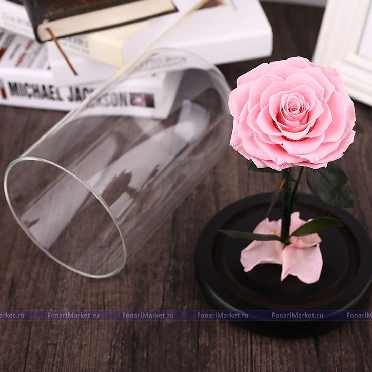 Розы в колбе - Роза в колбе 20 см. Mini - Розовая