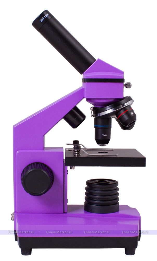 Микроскопы Levenhuk - Микроскоп Levenhuk Rainbow 2L PLUS Amethyst/Аметист