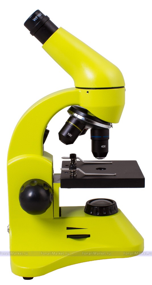 Микроскопы Levenhuk - Микроскоп Levenhuk Rainbow 50L PLUS Lime/Лайм