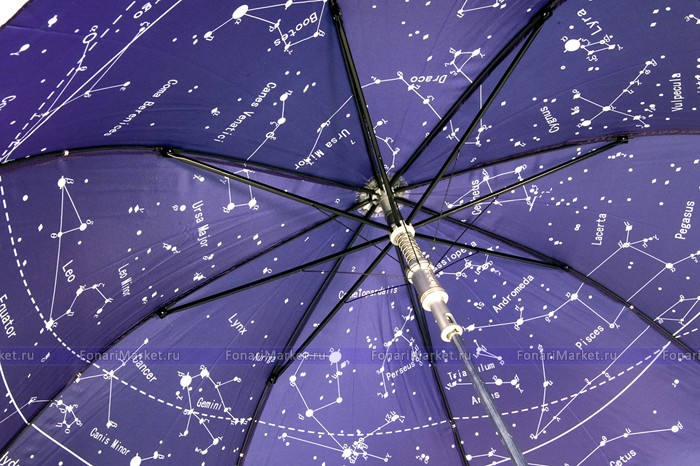 Товары для одностраничников - Зонт Levenhuk Star Sky U10, темно-синий