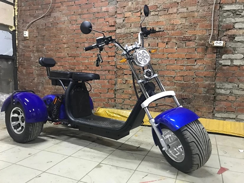 Товары для одностраничников - Электроскутер Citycoco Trike PRO 2000W 20Ah 12''